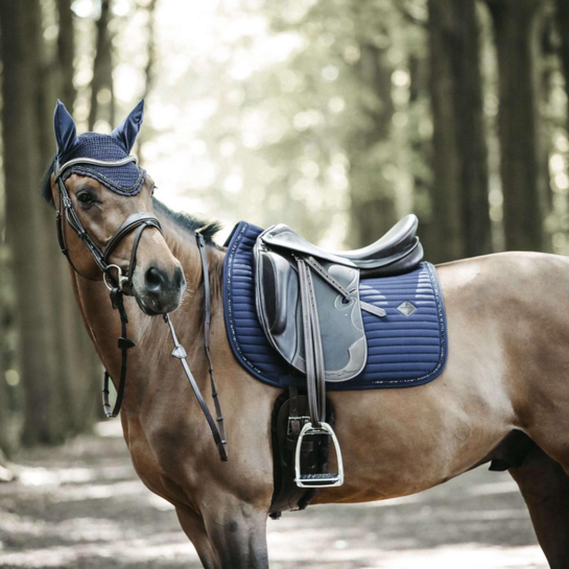 Het Geheim van een Gelukkig Paard: De Cruciale Rol van een Goed Zadel